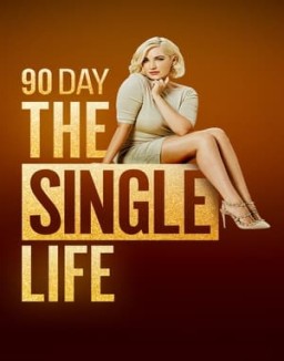 90 Day: The Single Life online for free