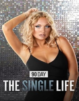 90 Day: The Single Life online for free