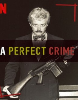 A Perfect Crime Season 1