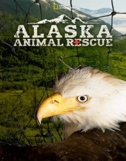 Alaska Animal Rescue