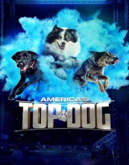 America's Top Dog Season 3