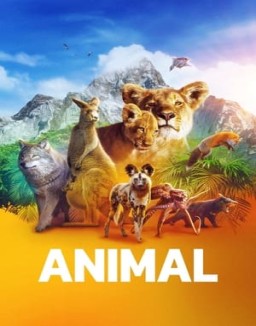 Animal Season 1