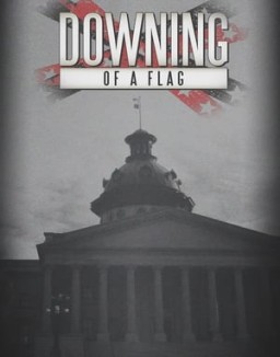 Downing of a Flag online For free