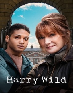 Harry Wild Season 1