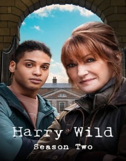 Harry Wild Season 2