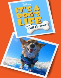 It's a Dog's Life with Bill Farmer online for free