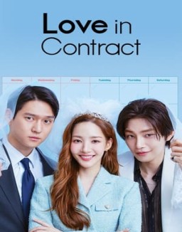 Love in Contract online For free