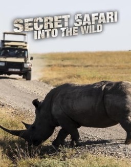 Secret Safari: Into the Wild Season 1