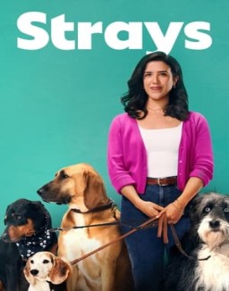 Strays Season 1