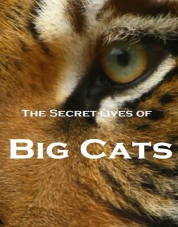 The Secret Lives Of Big Cats Season 1