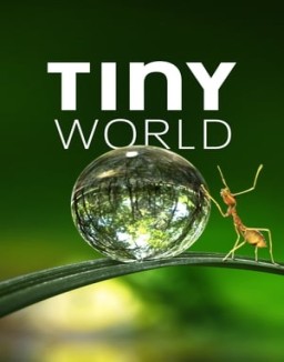 Tiny World Season  1 online