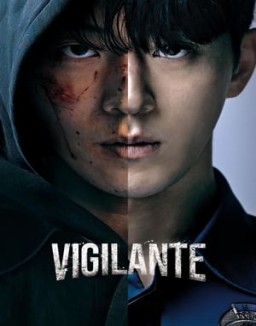 Vigilante Season 1