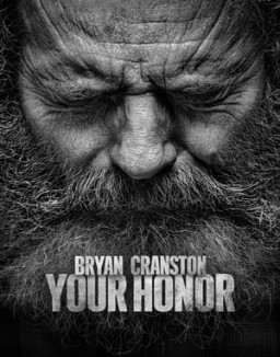 Your Honor Season 2